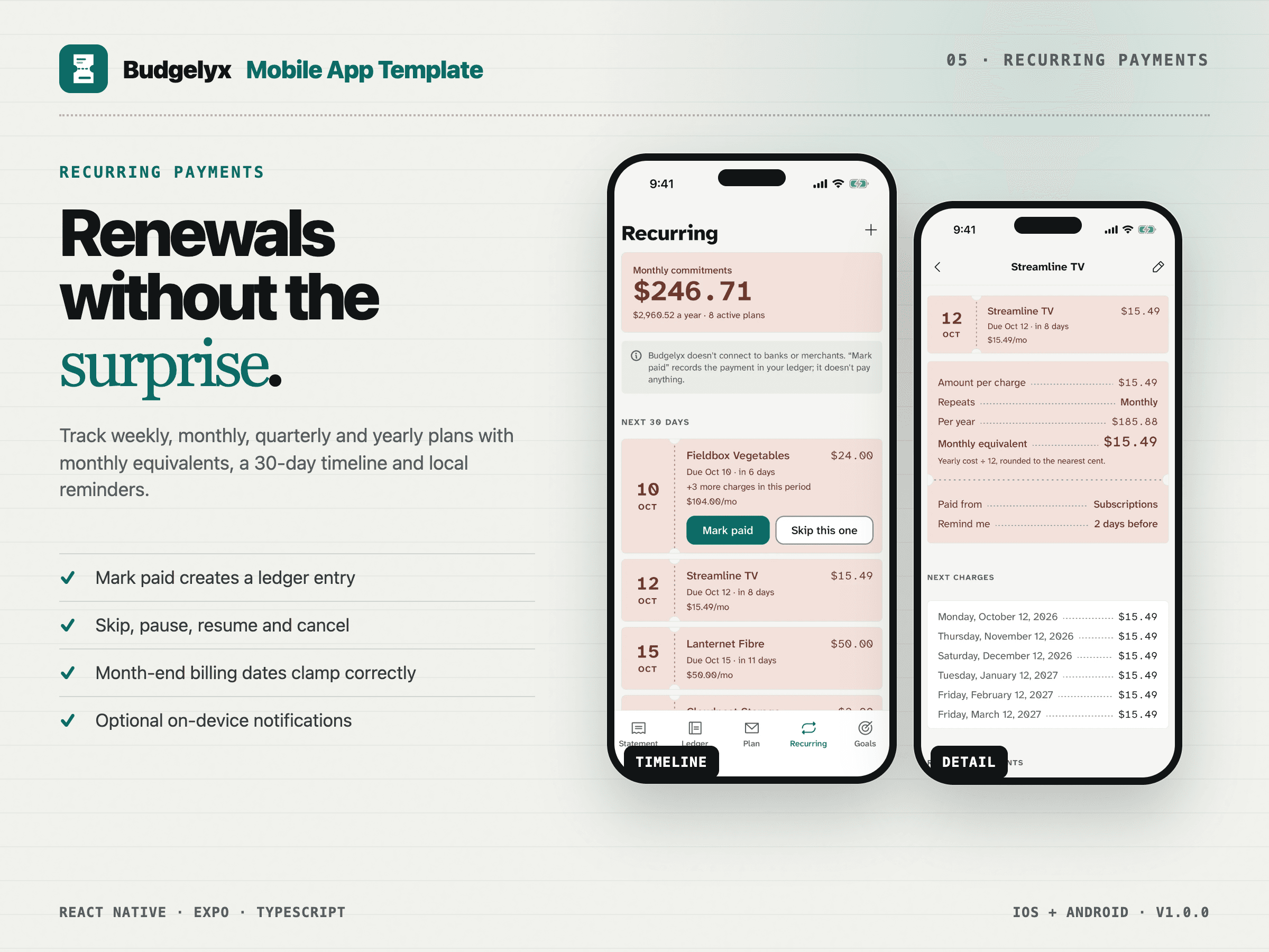 Budgelyx template preview 05
