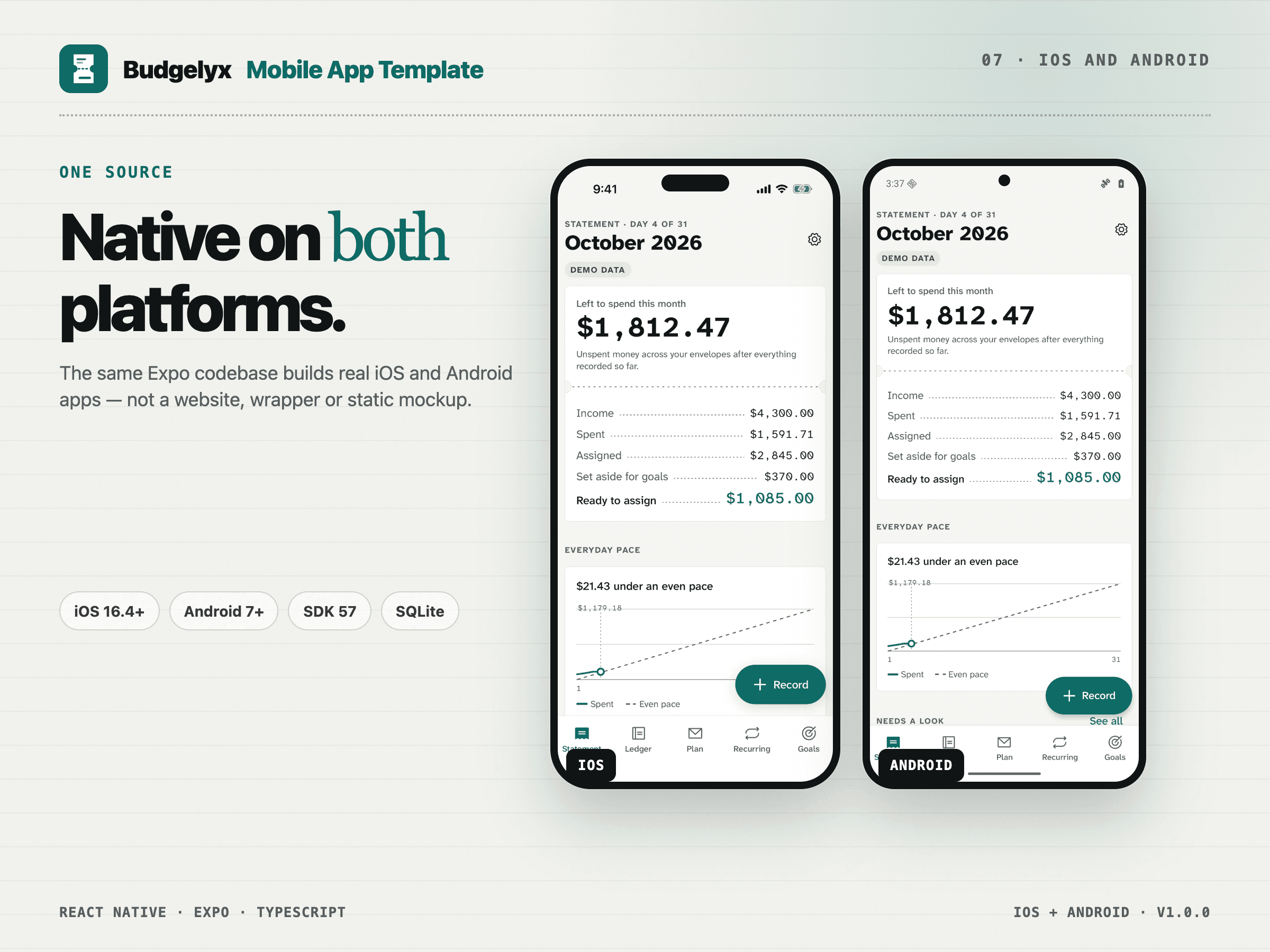 Budgelyx template preview 07