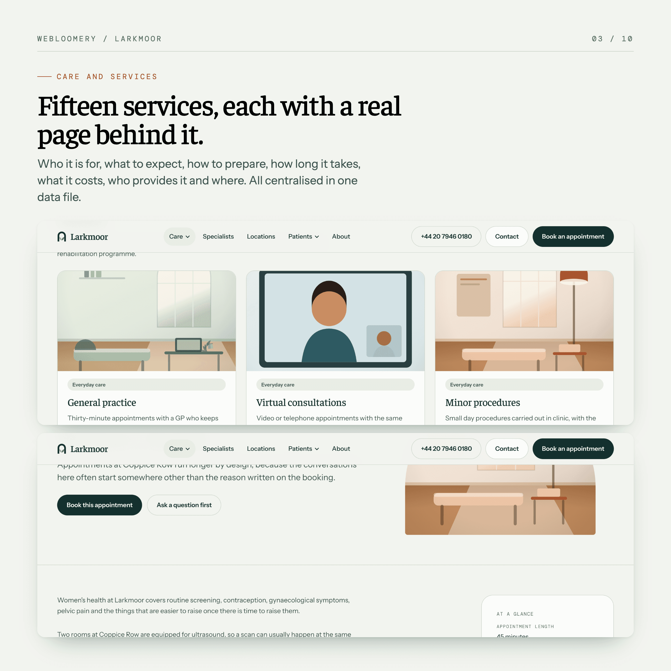 Larkmoor template preview 03