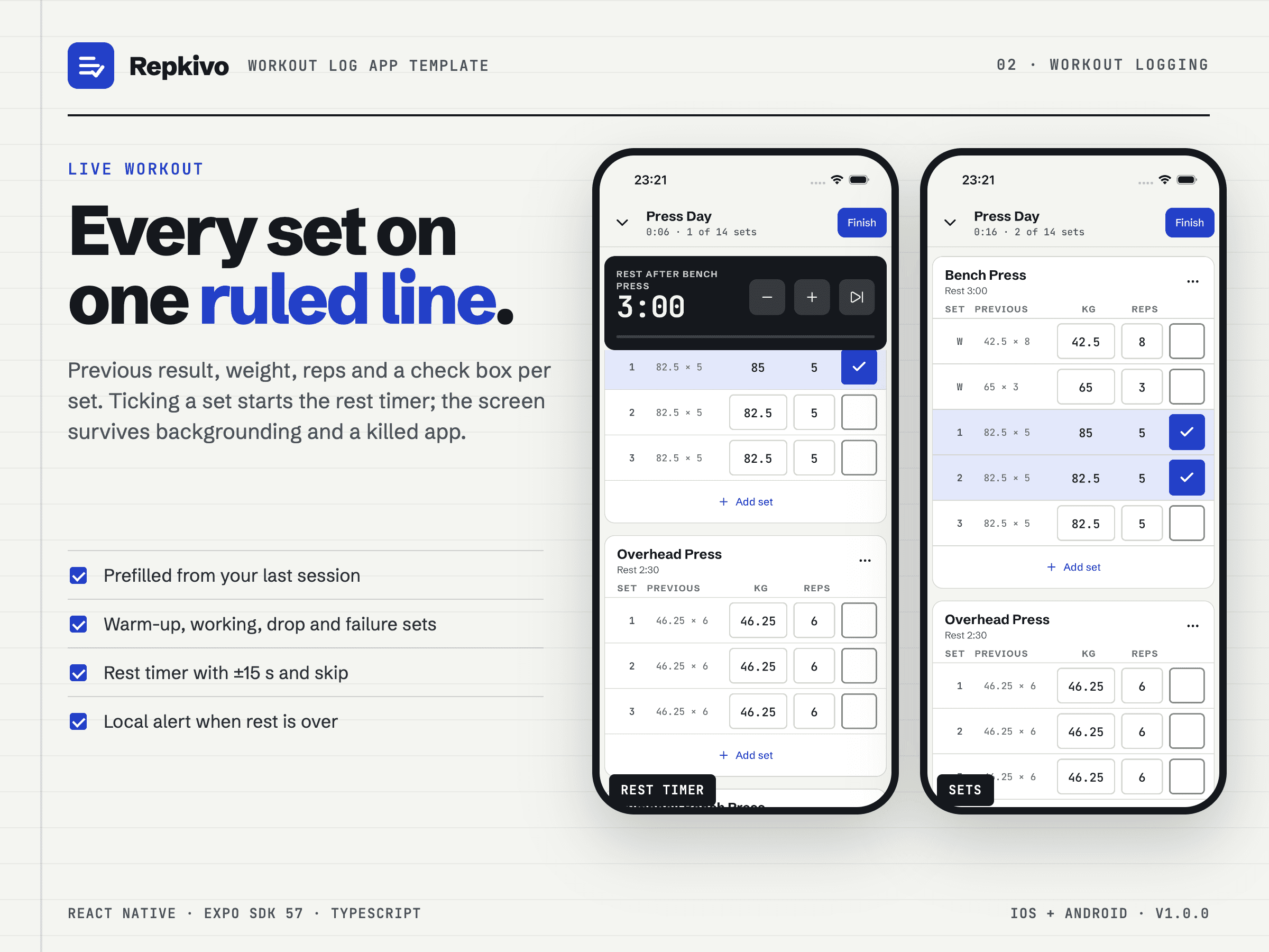 Repkivo template preview 02