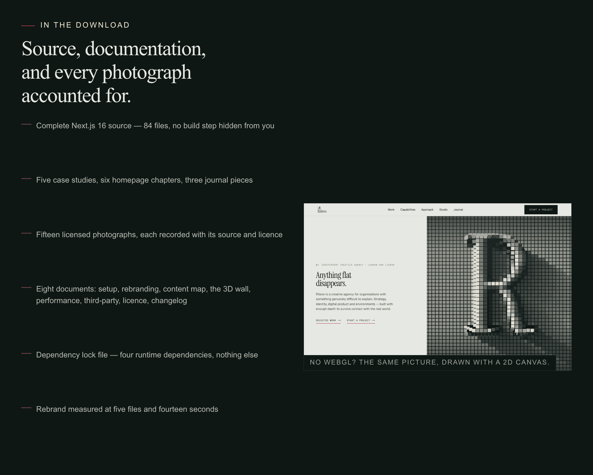 Rilevo template preview 10